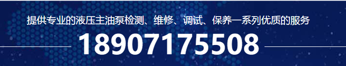 武汉液压泵.png